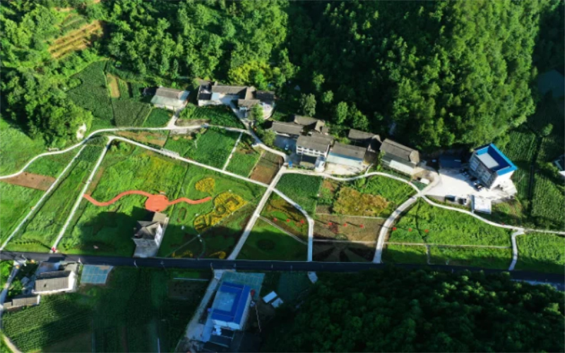 1765521897333864.jpg 未命名-1.jpg