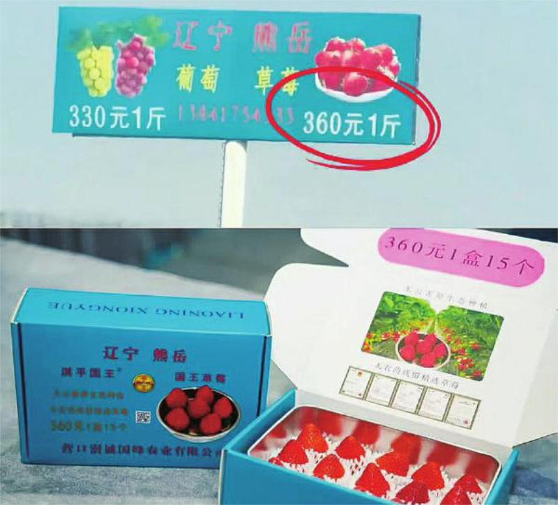 未命名-1.jpg