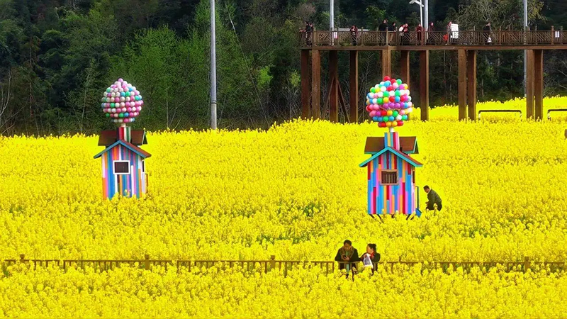 未命名-1.jpg
