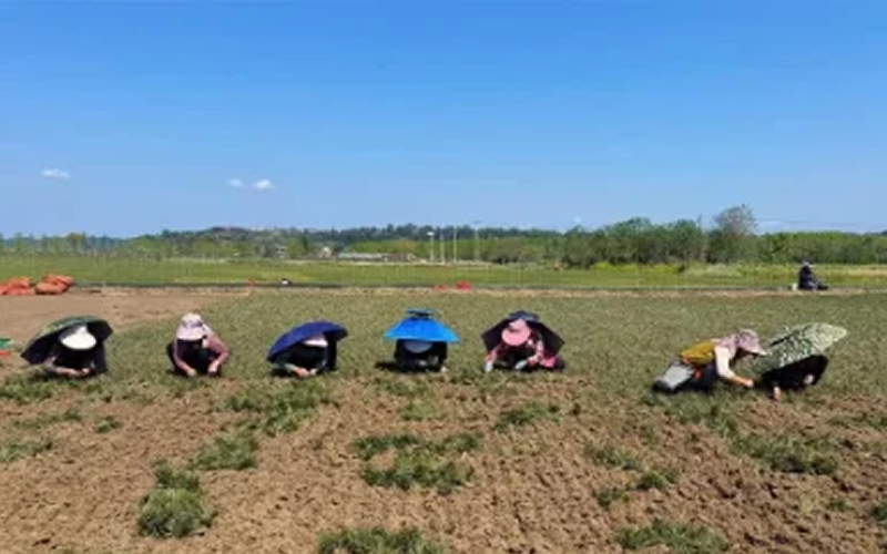 未命名-1.jpg