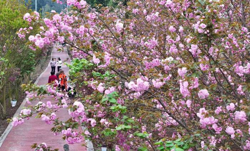 未命名-1.jpg