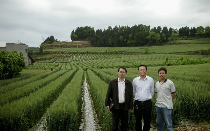 未命名-1.jpg