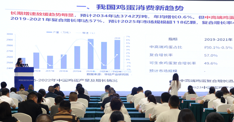 未命名-1.jpg